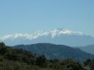 Pyrenees